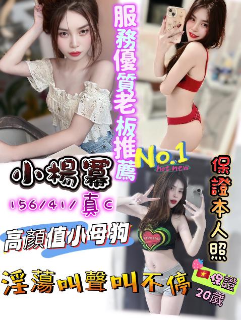 小楊冪 新竹市 定點 20 歲 C罩杯 156/41